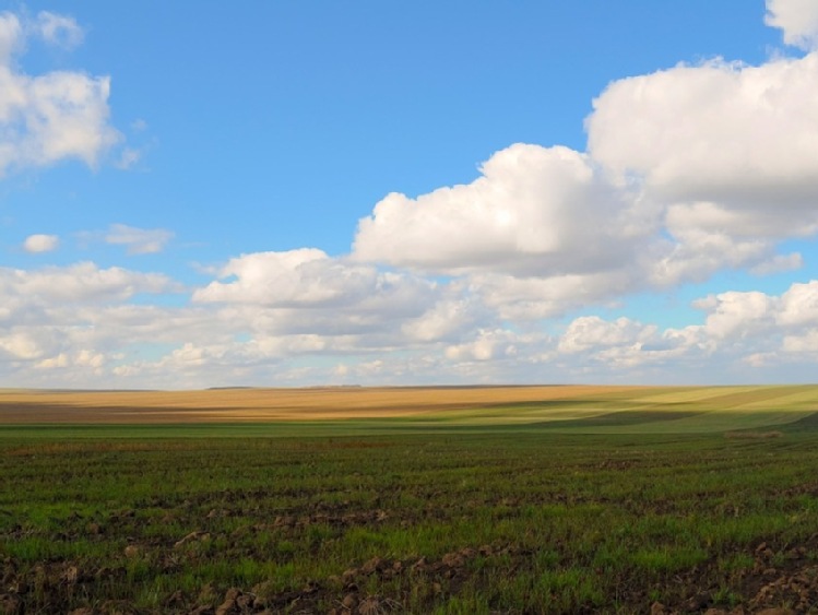 Komunikat dotyczący działania rolnictwo ekologiczne / działanie rolno-środowiskowo-klimatyczne